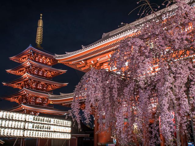 IKAHO - NIKKO - TOKYO.