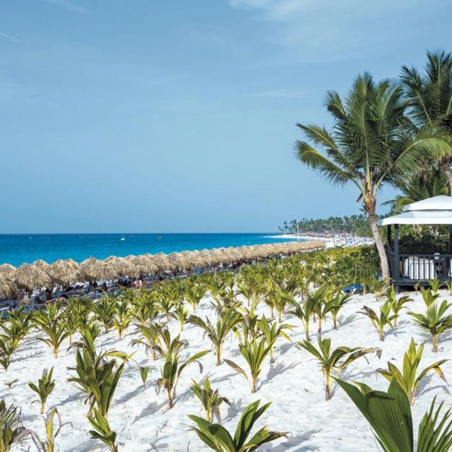 RIU REPUBLICA Hotel, Punta Cana, Dominican Republic.