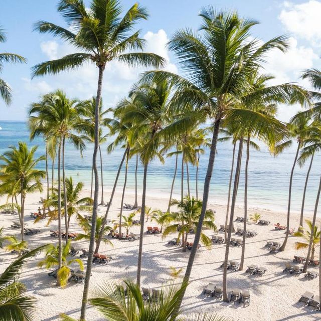 BARCELÓ BÁVARO BEACH - ADULTS ONLY Hotel