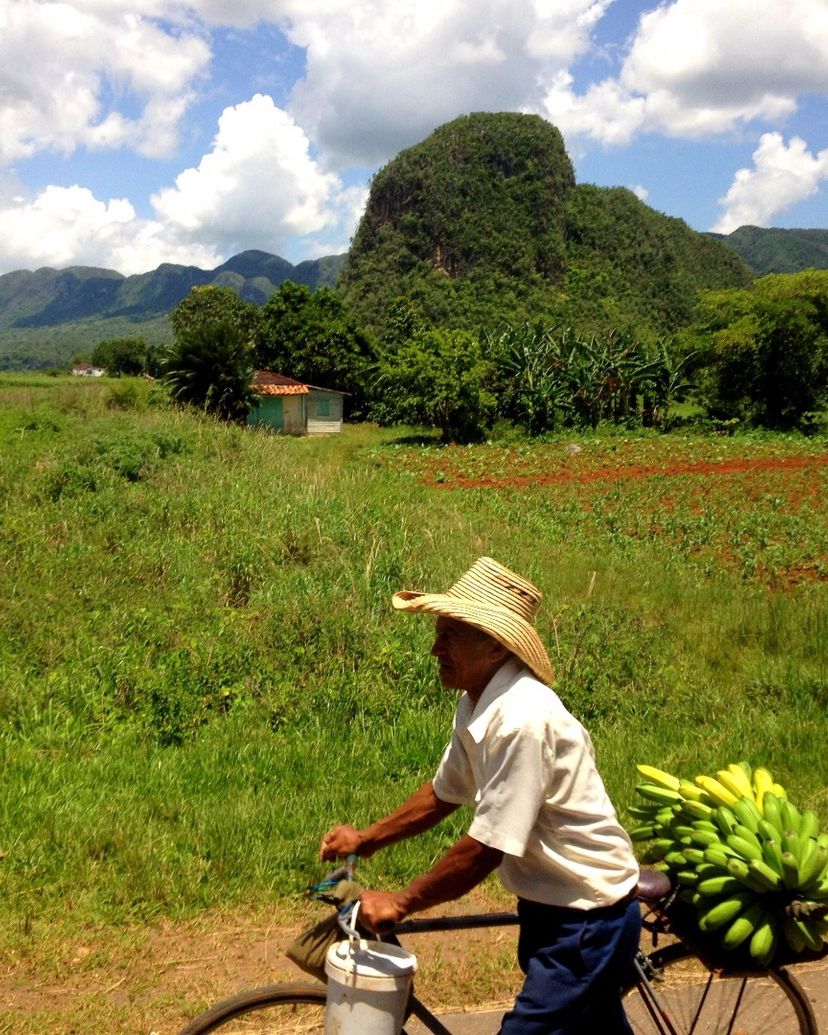 Viñales valley National Park, declared a Cultural Heritage Site by UNESCO, Pinar del Río
