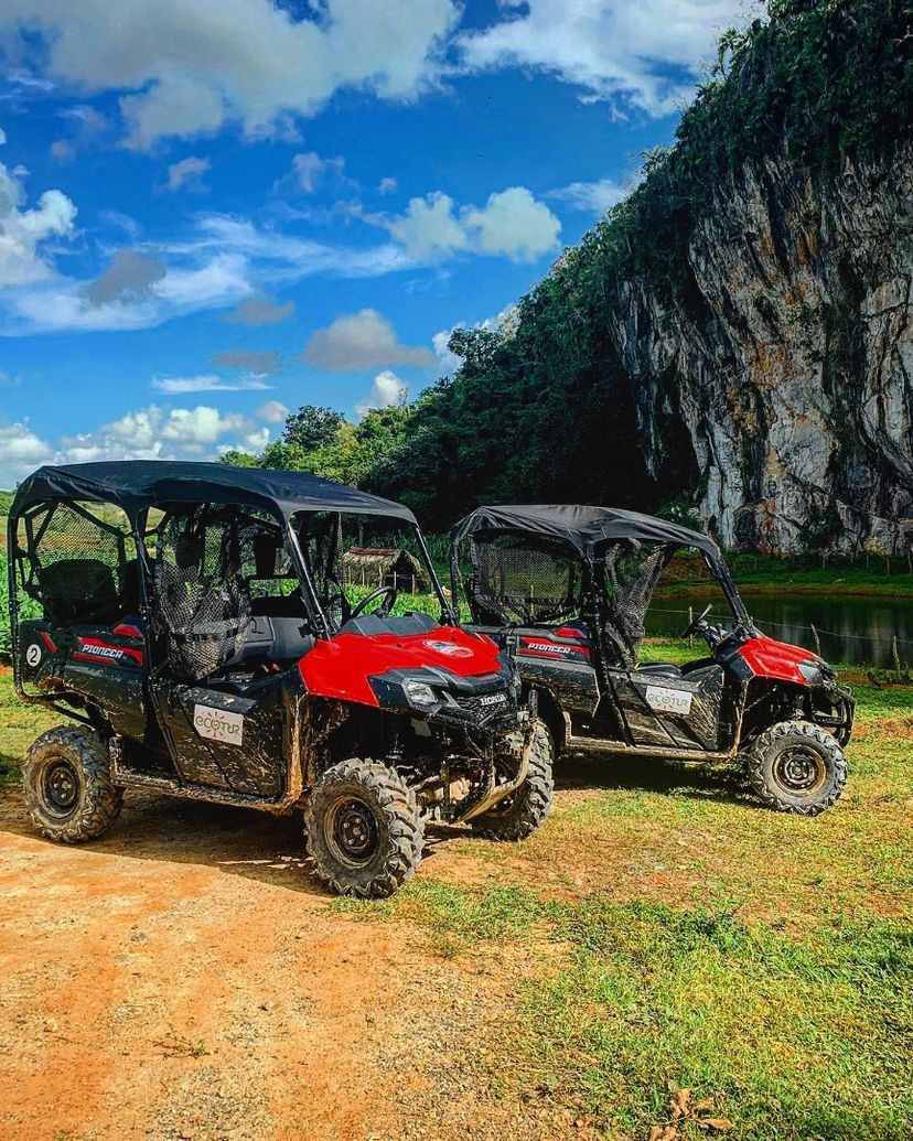 “BUGGY TOURS: VISIT TO THE JUTIAS VALLEY” Tour, Viñales Valley, Pinar del Río, Cuba.