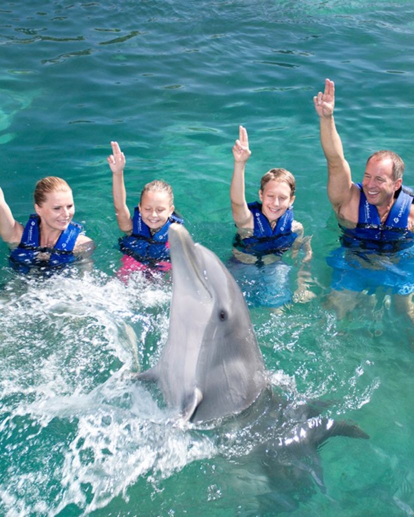 "Primax Dolphin in Riviera Maya" Tour