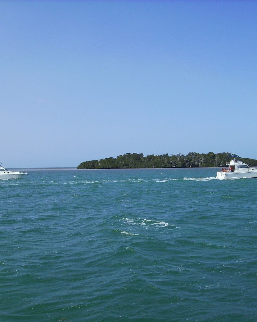 Nature Tour Seafari Isla Paraiso