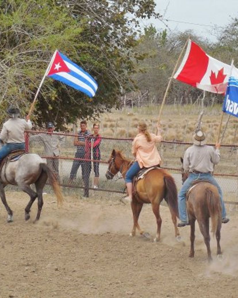 Rancho King Touristic Farm