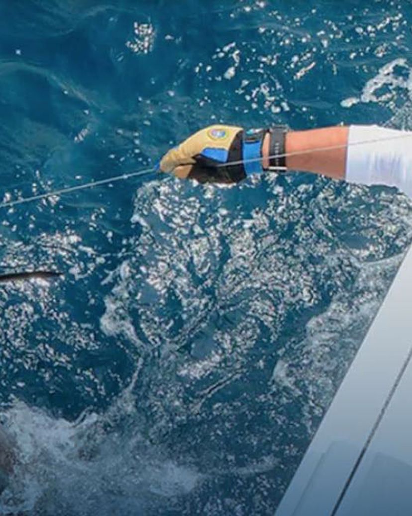 “BOTTOM FISHING IN SIGUANEA (EL COLONY)” Tour, Isla de la Juventud, Cuba.