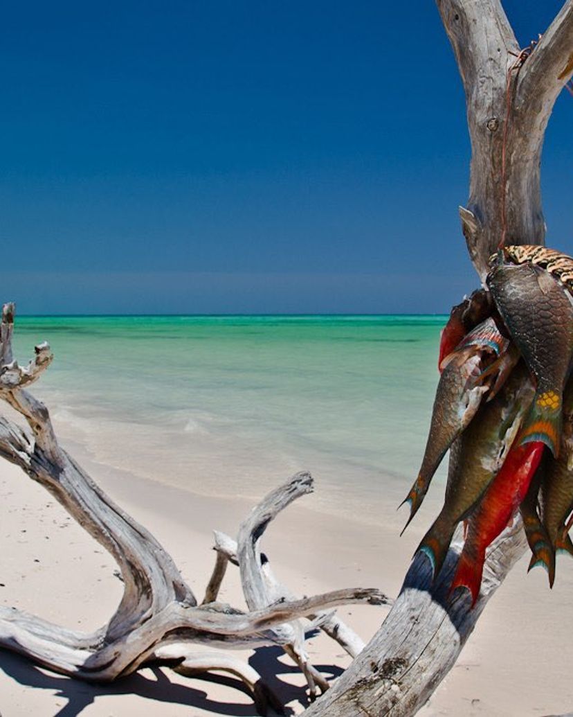 Cayo Jutías beach panoramic view, Pinar del Río, Cuba.