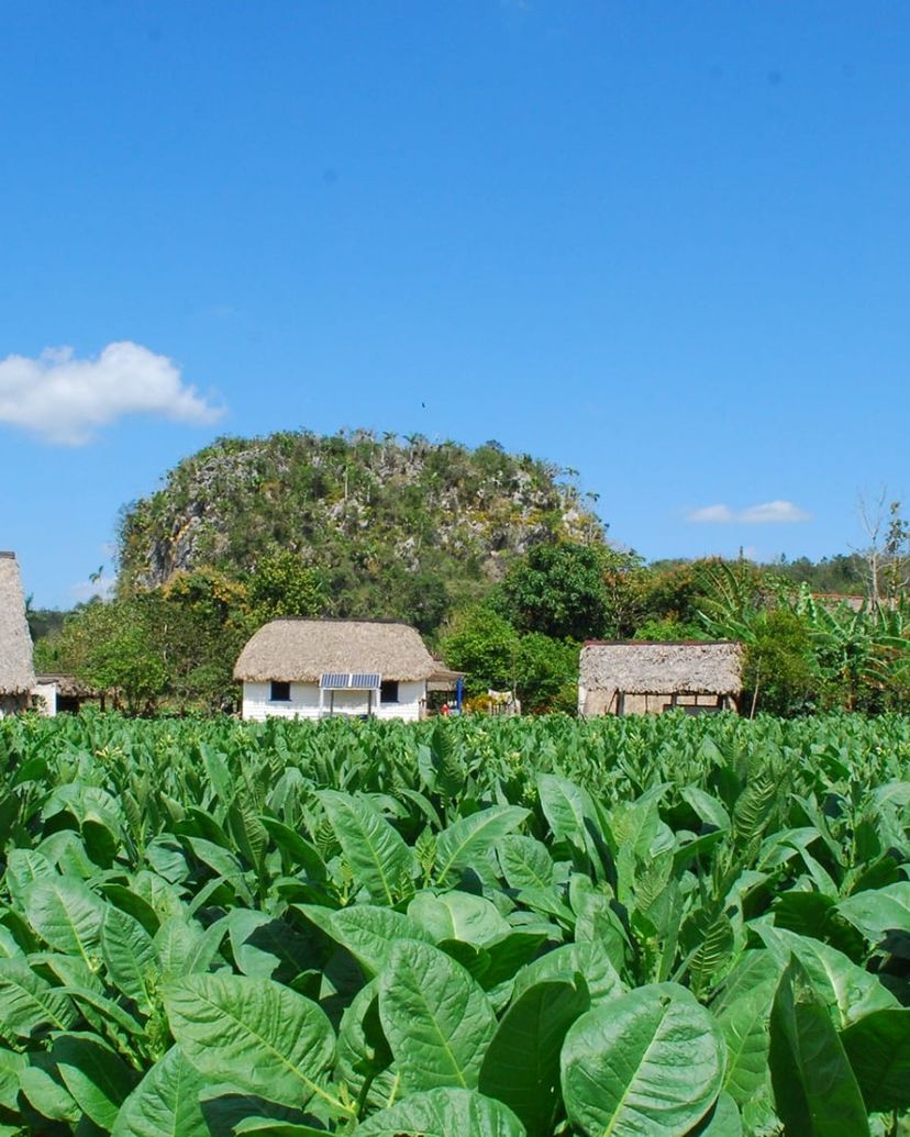 The Valley of Silence panoramic view, Viñales Valley, Pinar del Río, Cuba.