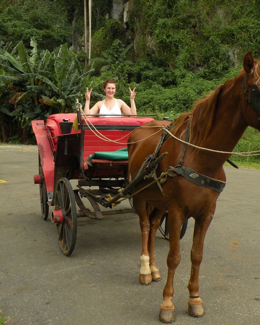Tour in Colonial Carriage in Viñales, Dreaming the Secrets of the Valley.
