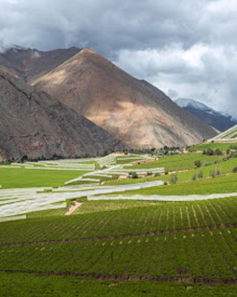 Elqui Valley, Coquimbo, La Serena