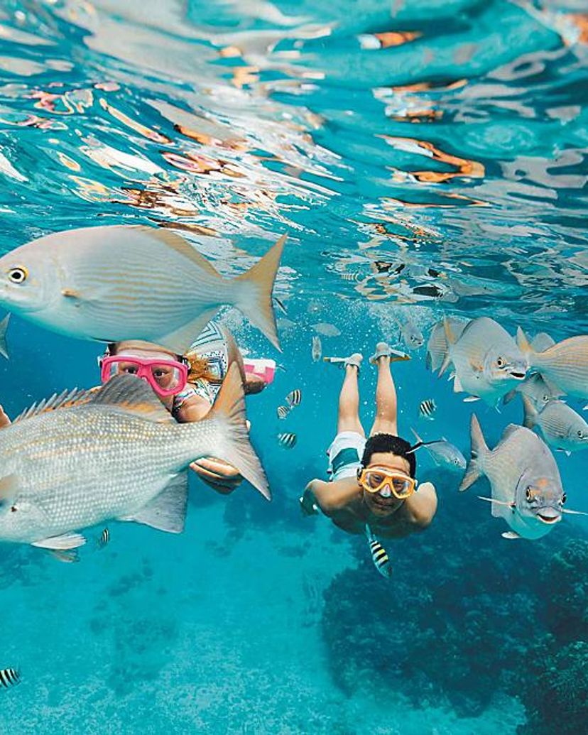 "Snorkeling in Cozumel" Tour