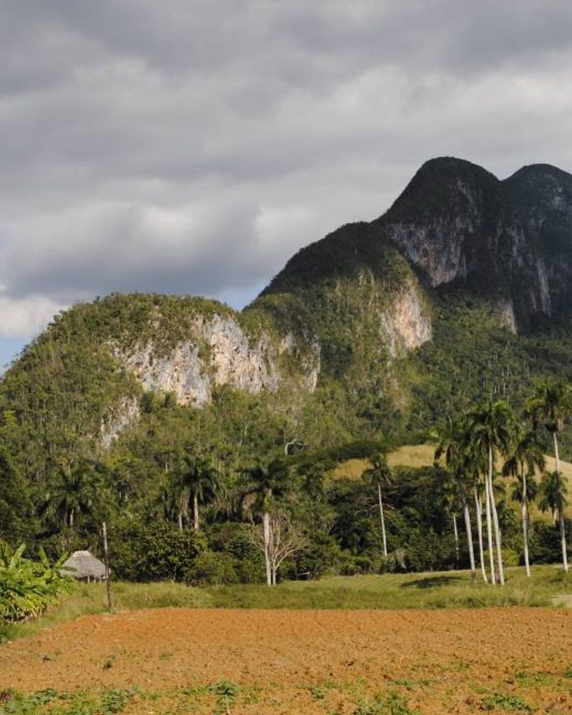 "TO MIL CUMBRES" Tour, Pinar del Río, Cuba.