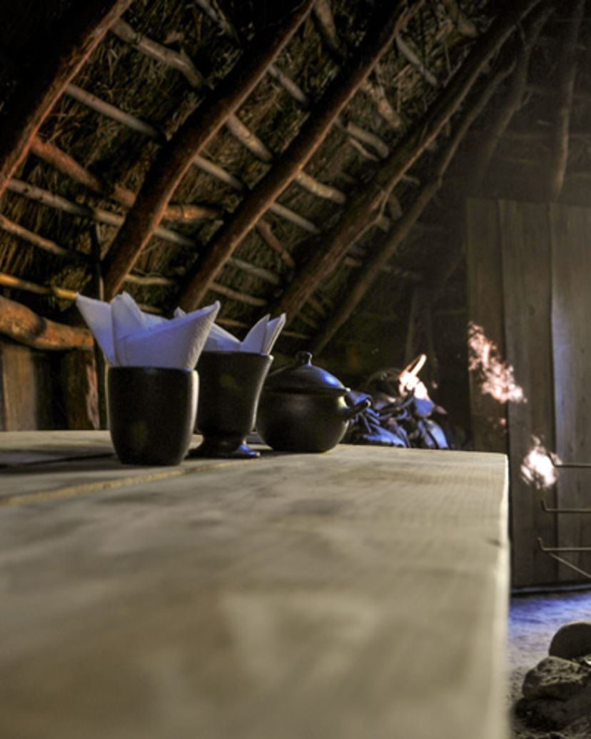 Excursão “EXPERIÊNCIA CULTURAL MAPUCHE”