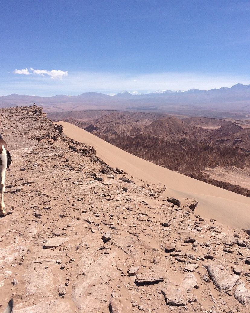 "HORSEBACK RIDING IN SAN PEDRO DE ATACAMA" PREMIUM Tour, San Pedro de Atacama, Chile. 