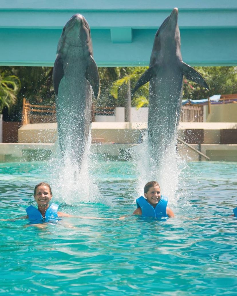 "Primax Dolphin in Cancún" Tour