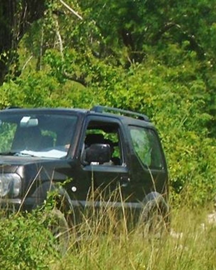 Jeep Safari "CODINA NATURAL PARK HIKKING TOURS"