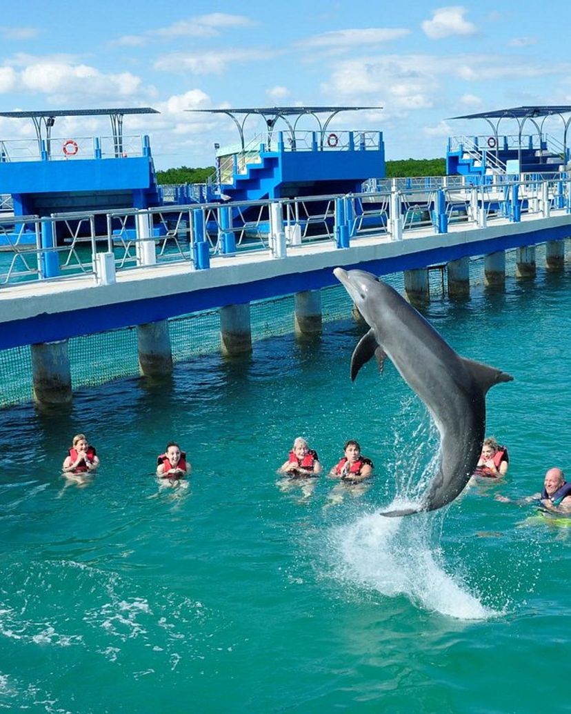 Dolphin show at Cayo Santa María dolphinarium, Cayo Santa María, Villa Clara, Cuba.