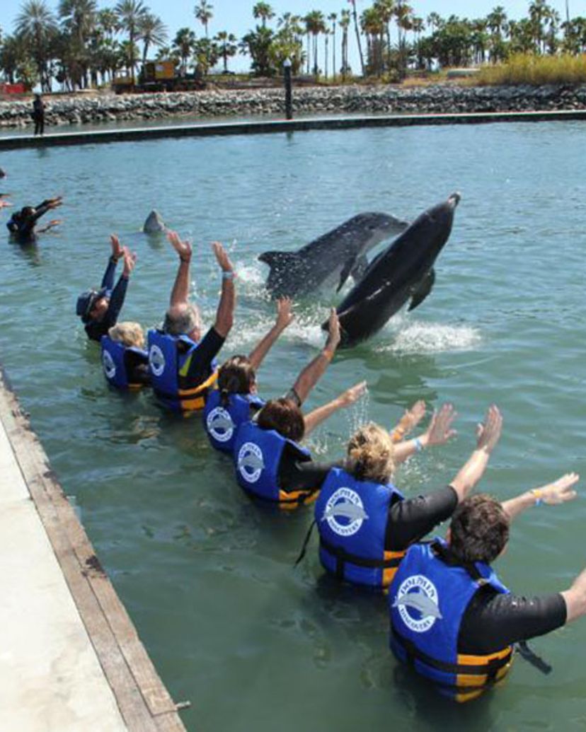 "Delfines Dolphin Encounter in Riviera Maya" Tour
