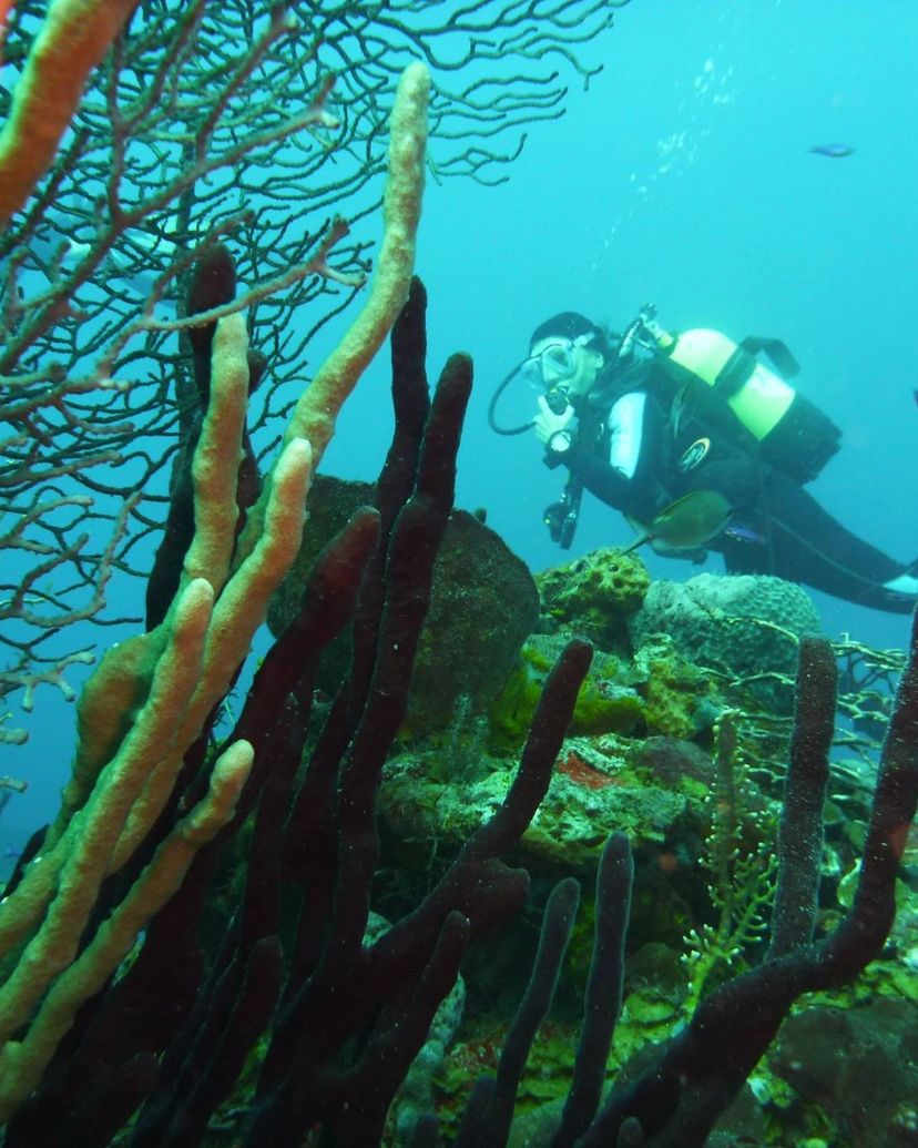 “SCUBA DIVING IN PLAYA ANCÓN, TRINIDAD” Tour