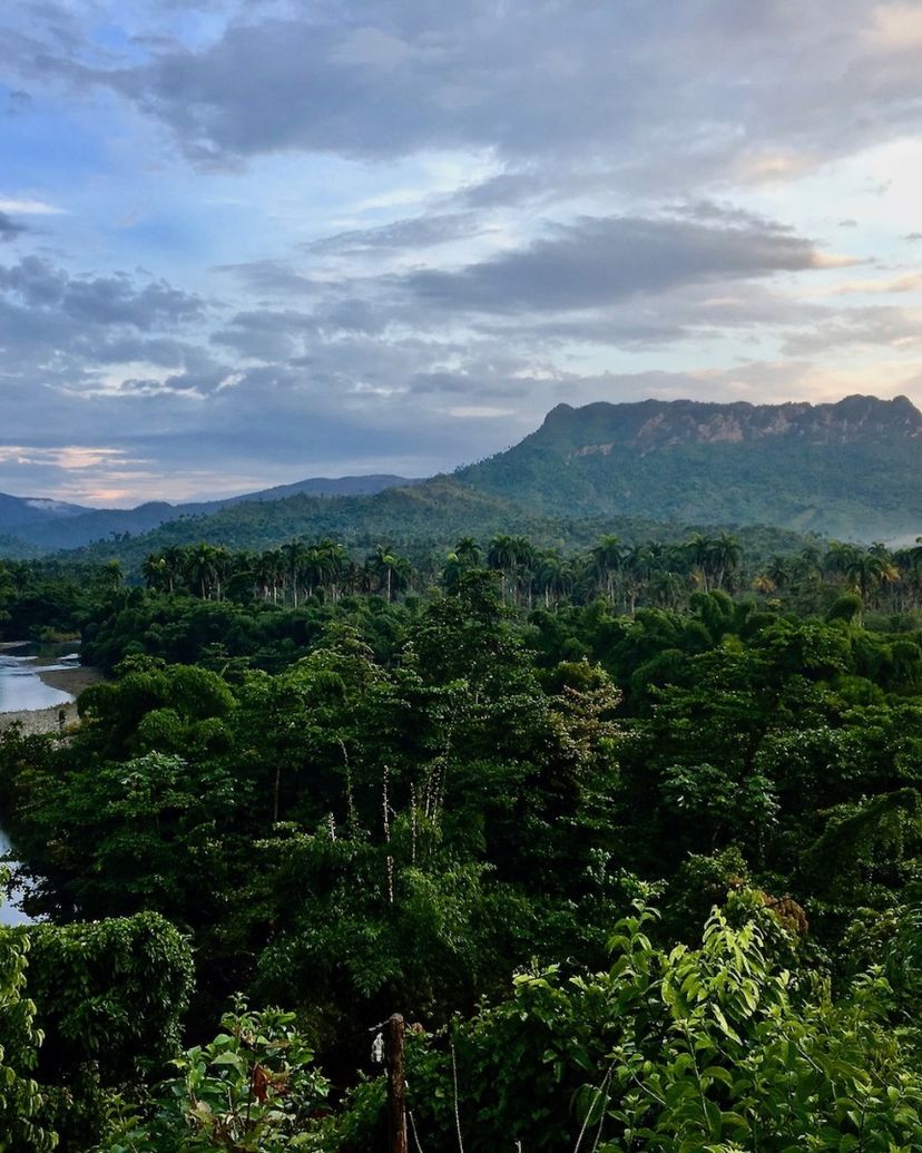 Cuchillas del Toa, Baracoa, Guantánamo, Cuba.