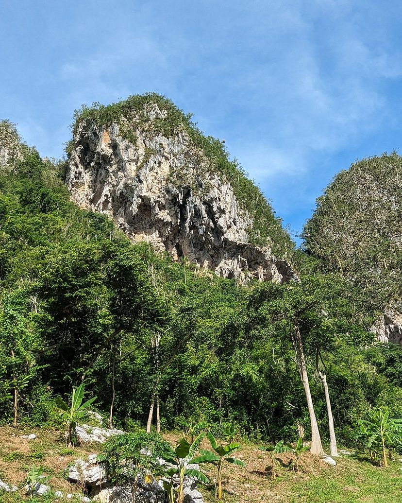 “COCO SOLO - PALMARITO TRAIL IN THE VIÑALES VALLEY” Tour, Viñales, Pinar del Río, Cuba.