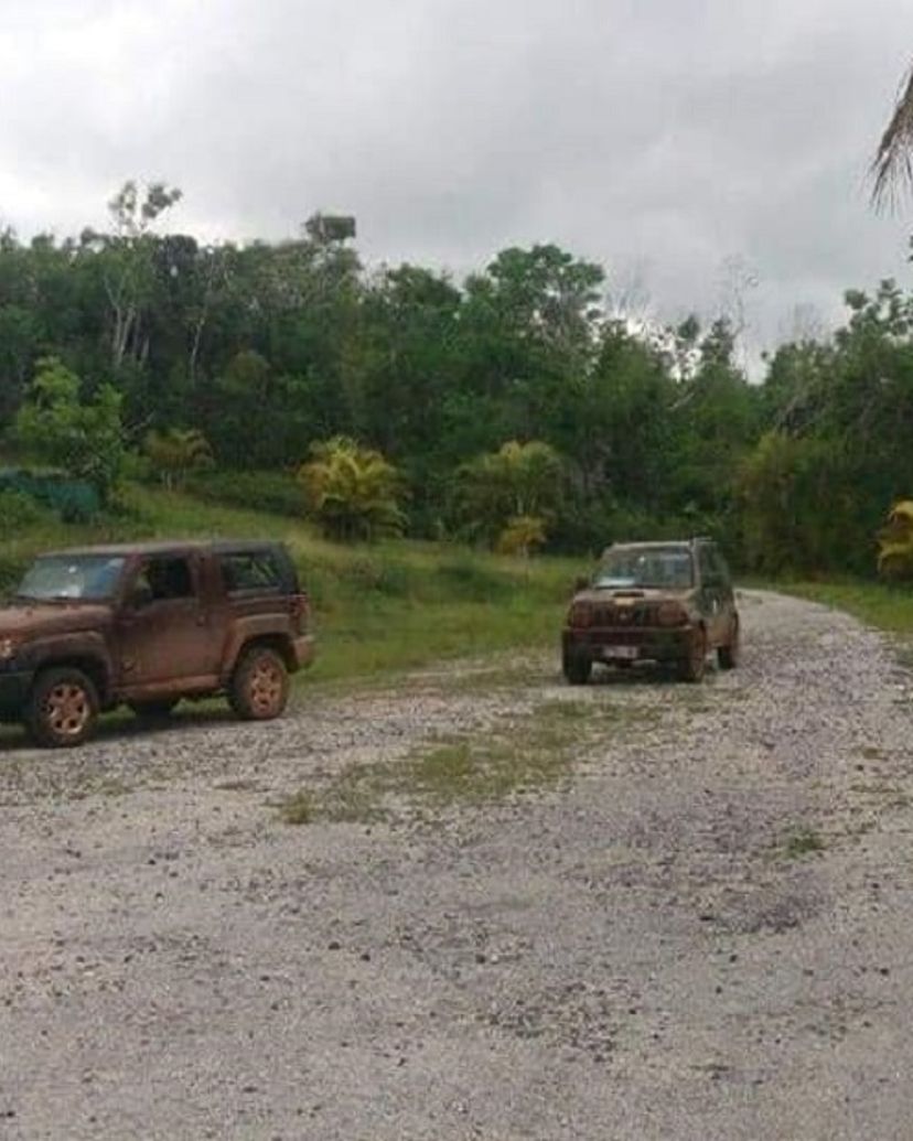 Jeep Safari "NATURE TOUR BIRD WATCHING IN CAYO COCO", Jardines del Rey, Ciego de Ávila, Cuba.
