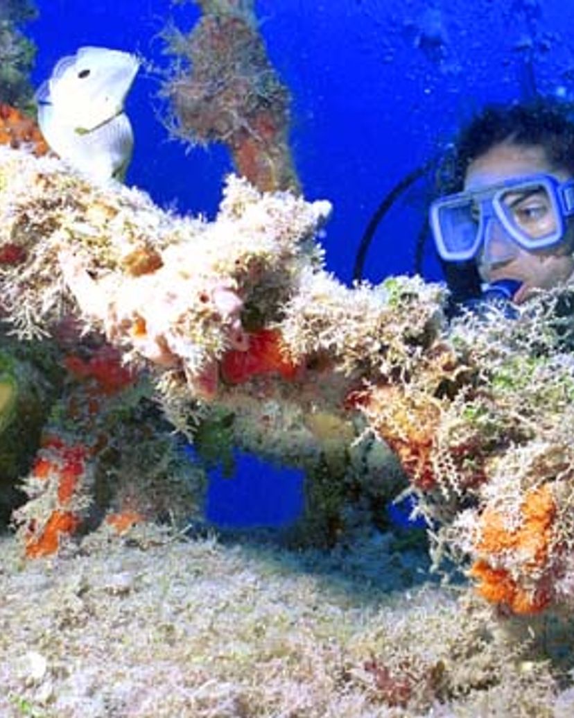 "SCUBA DIVING IN CAYO LEVISA” Tour, Pinar del Río, Cuba.