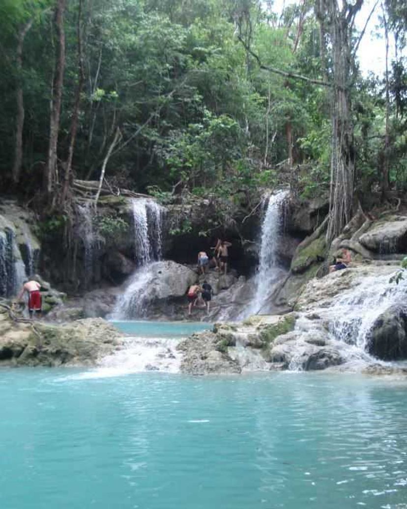 Jobo Rosado" Protected Area", Sactí Spíritus, Cuba.