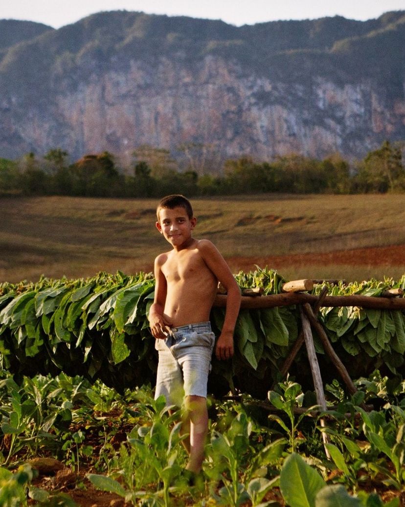 Traditions and customs, Viñales valley National Park, Pinar del Río