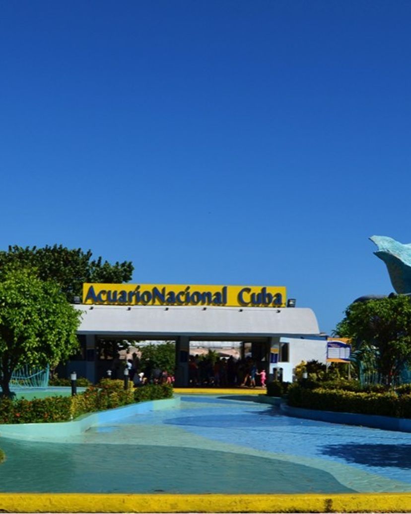 The National Aquarium of Cuba, Havana, Cuba.