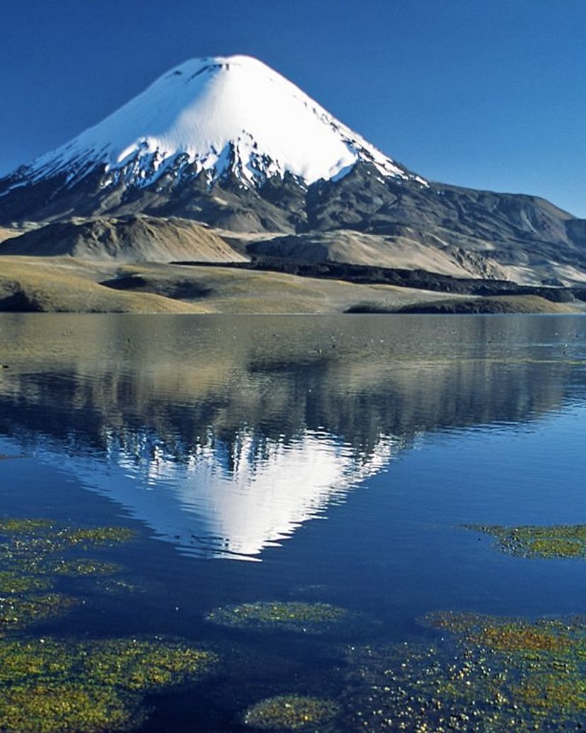 “VISIT TO LAUCA NATIONAL PARK, BIOSPHERE RESERVE" Tour