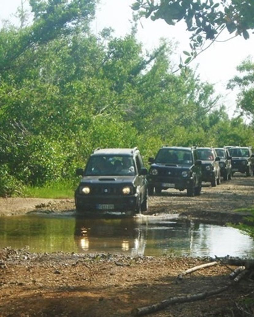 Jeep Safari "NATURE TOUR BIRDWATCHING IN SALINAS DE BRITO"