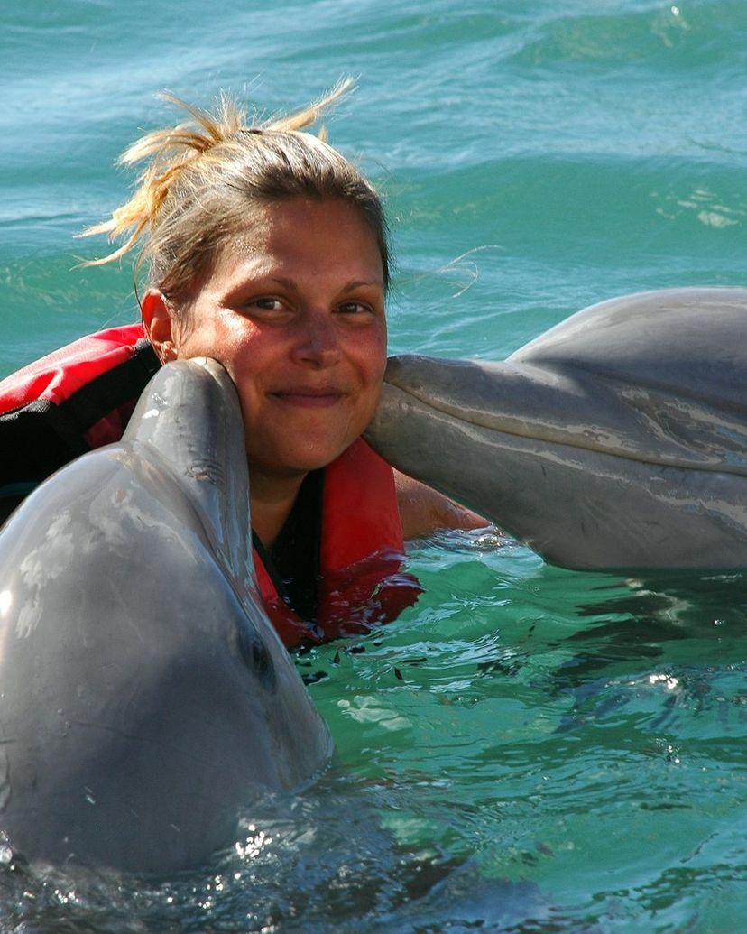 "FANTASY WITH DOLPHINS AND SEA LIONS" Tour, Cayo Santa María, Villa Clara, Cuba.