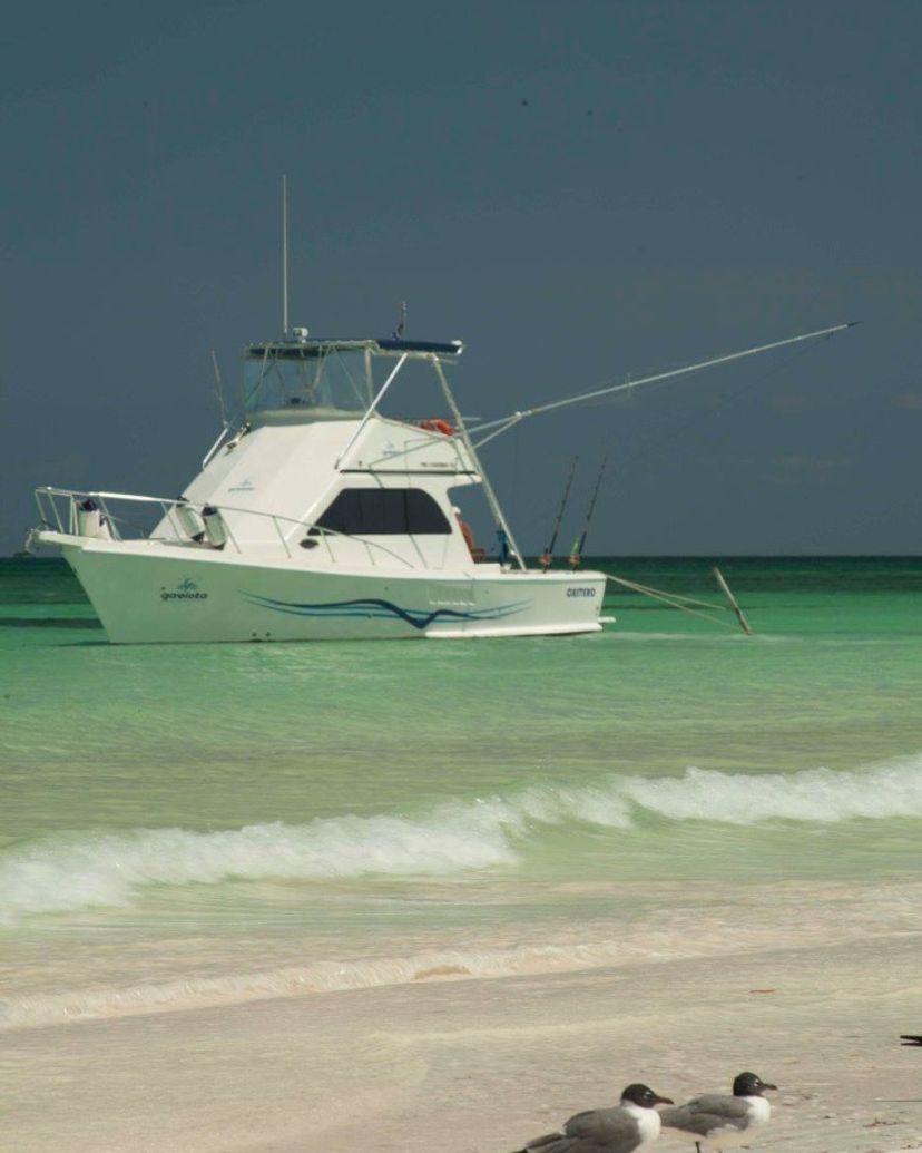 “DEEP SEA FISHING FROM MARINA DE VITA“ Tour