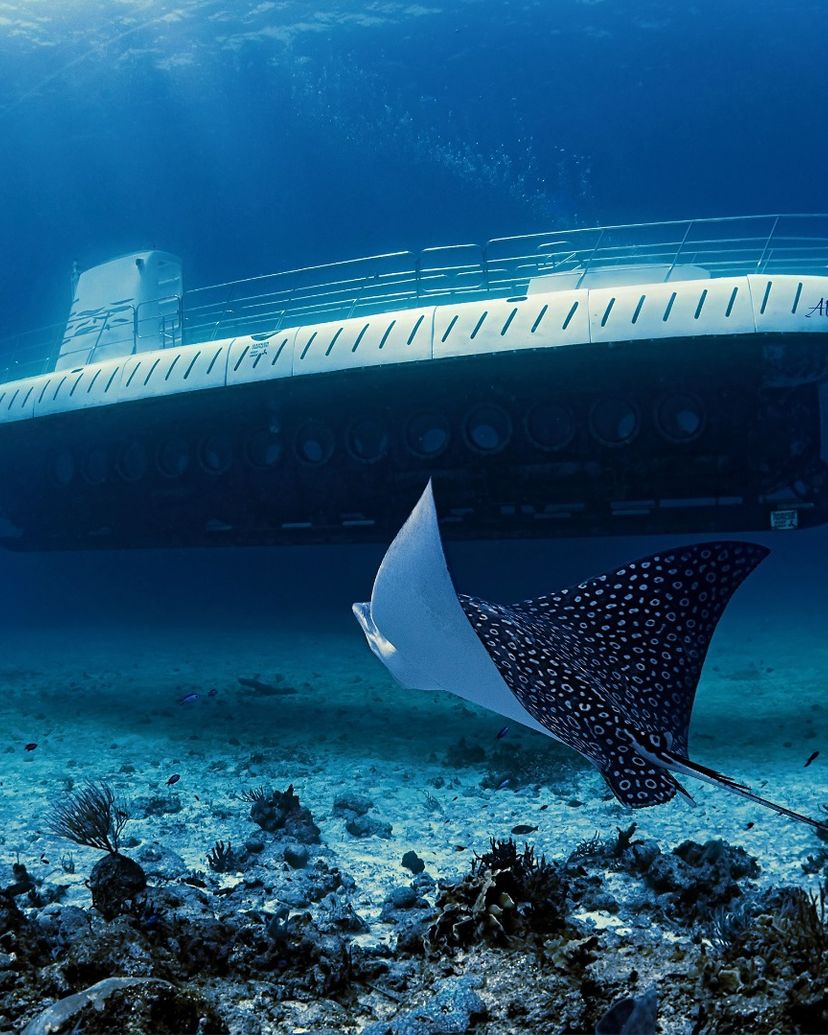 "Atlantis Submarine Cozumel" Tour