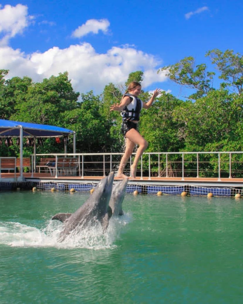 "SWIMMING WITH DOLPHINS IN CAYO BLANCO, VARADERO" Tour, Varadero, Matanzas, Cuba.
