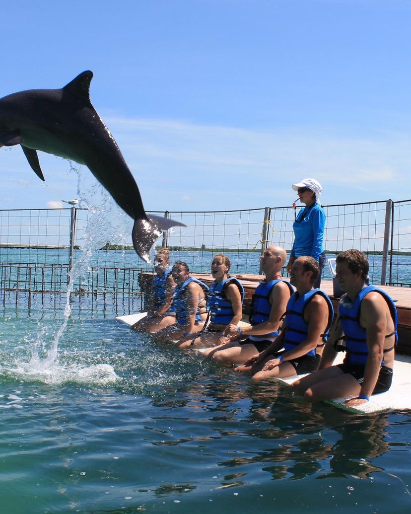 Interacting with the Dolphins at Cayo Guillermo dolphinarium