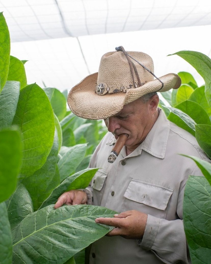 Finca Quemado del Rubi, owned by Hector Luis and considered one of the top three tobacco farms in Cuba. Mr. Luis’ outstanding production won him the prestigious Hombre Habano award.