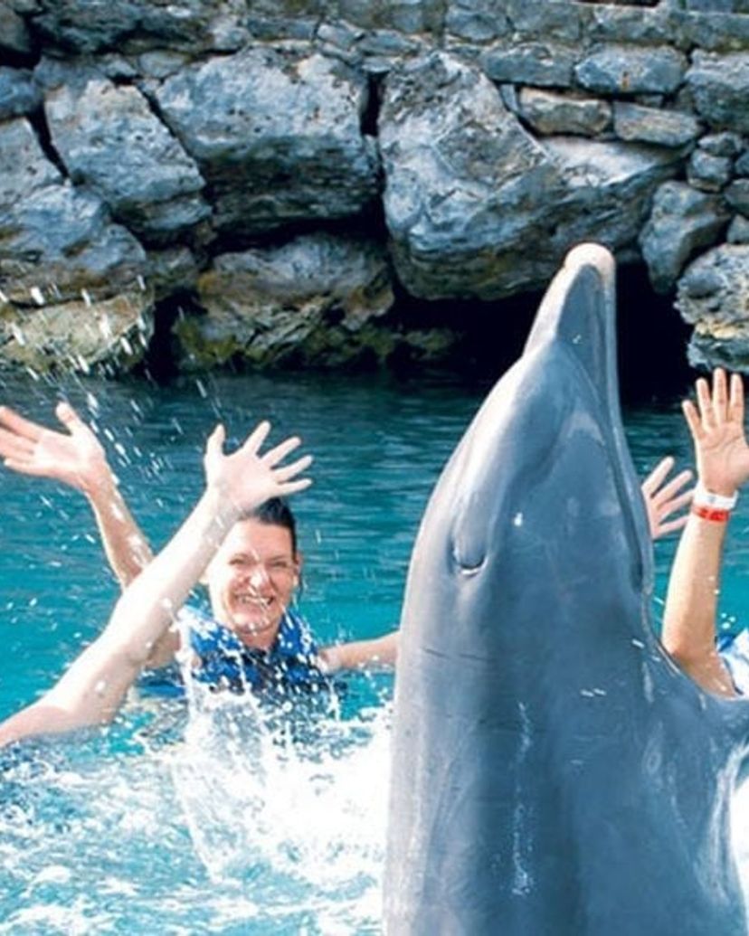 Swim with dolphins in Xel-Ha Park, a fun and exciting experience in Cancun, Yucatan Peninsula. Mexico.