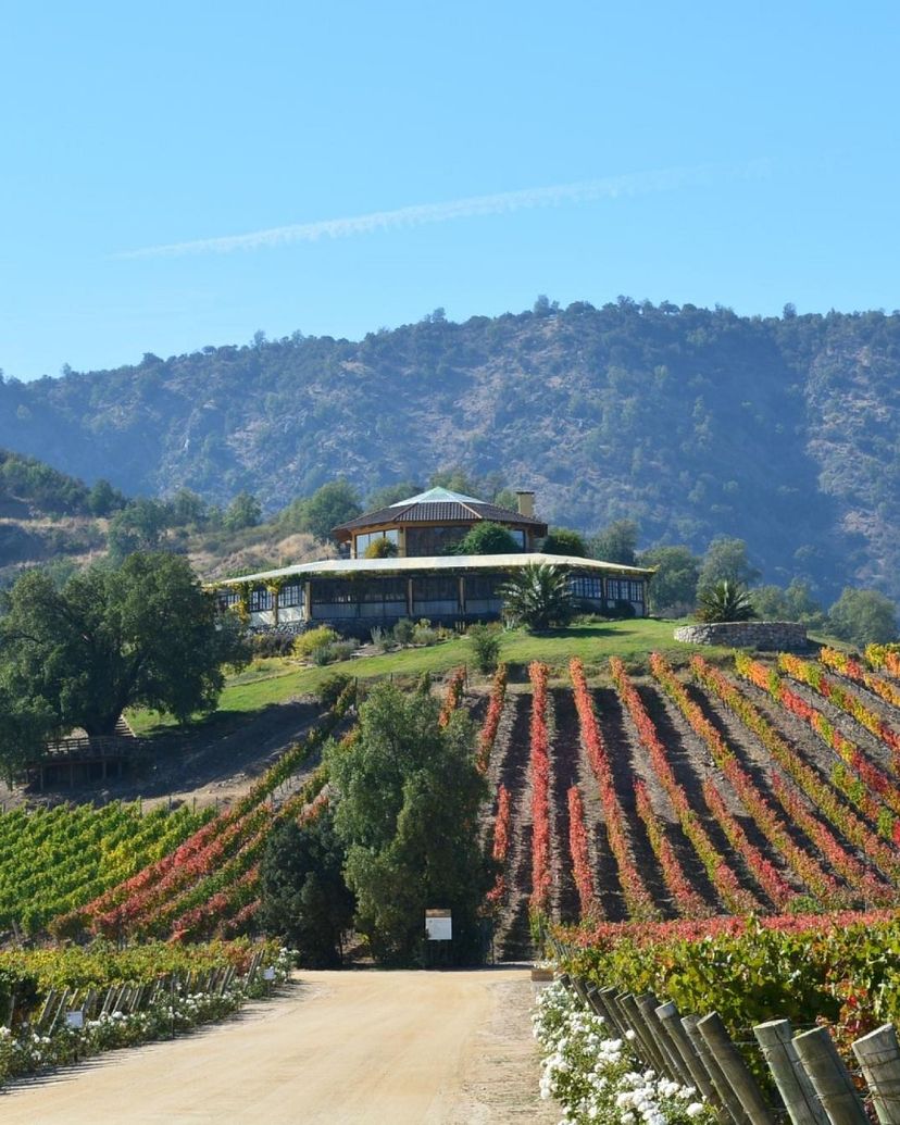 “SANTA CRUZ WINERY” Tour, Colchagua Valley, Chile.