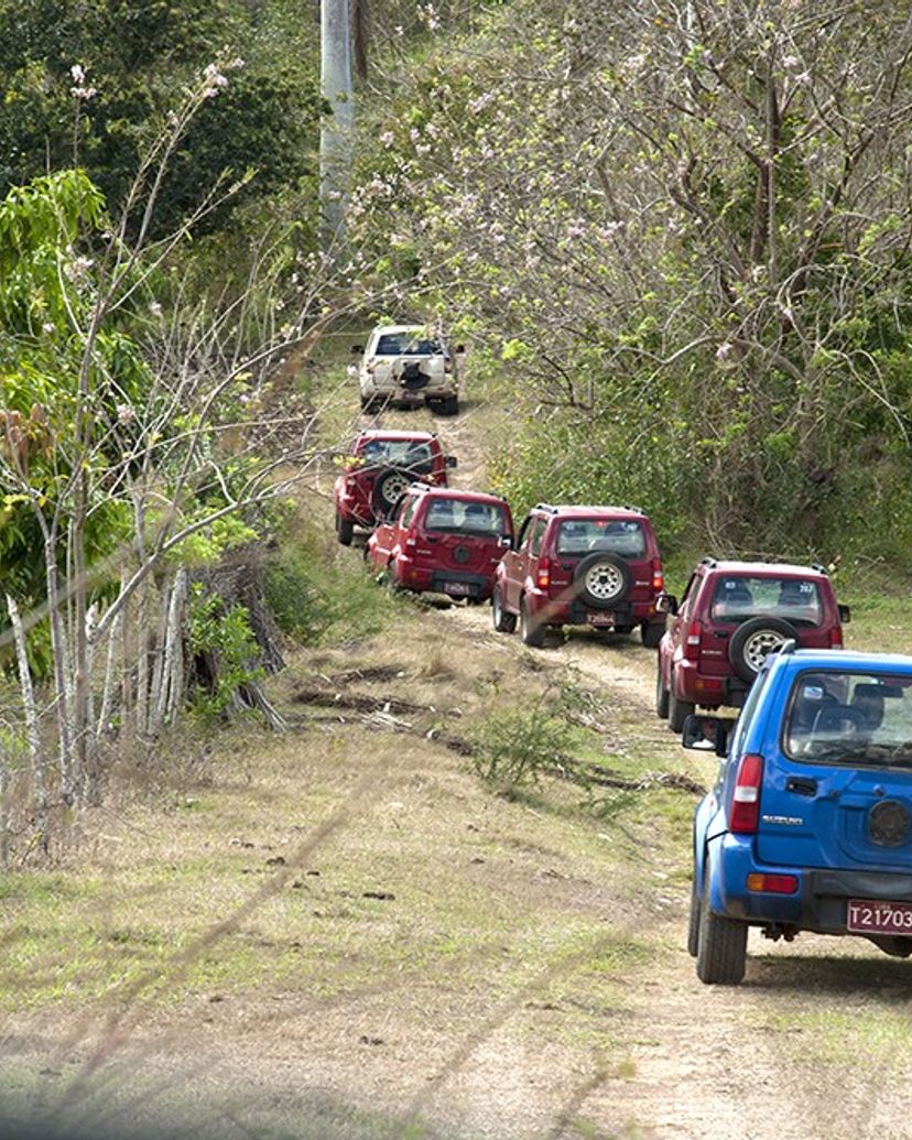 Jeep Safari Nature Tour La Dionisia