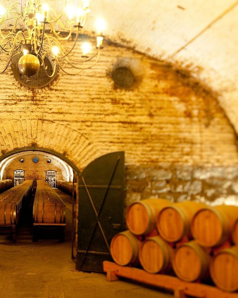“COUSIÑO MACUL WINERY” Tour, Chile.
