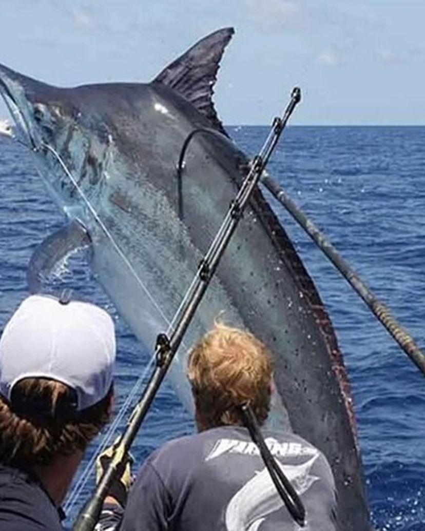 DEEP SEA FISHING IN PUNTA CANA, Dominican Republic.