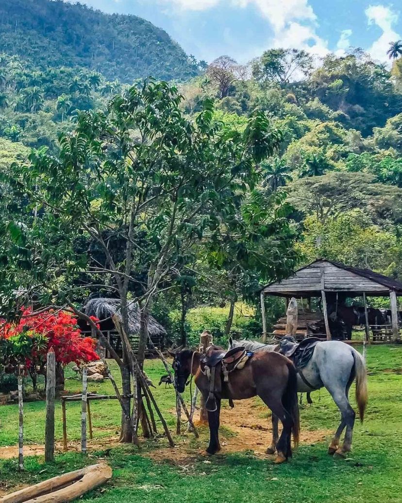 "El Brujito" Trail