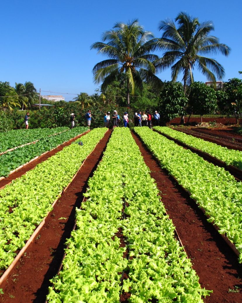 Farm Vista Hermosa