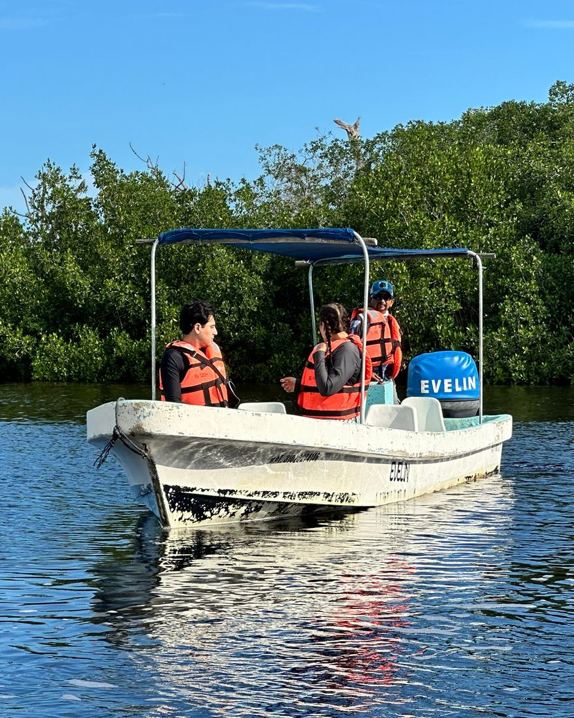 RÍA LAGARTOS BIOSPHERE RESERVE, Río Lagartos, Yucatán, México. 