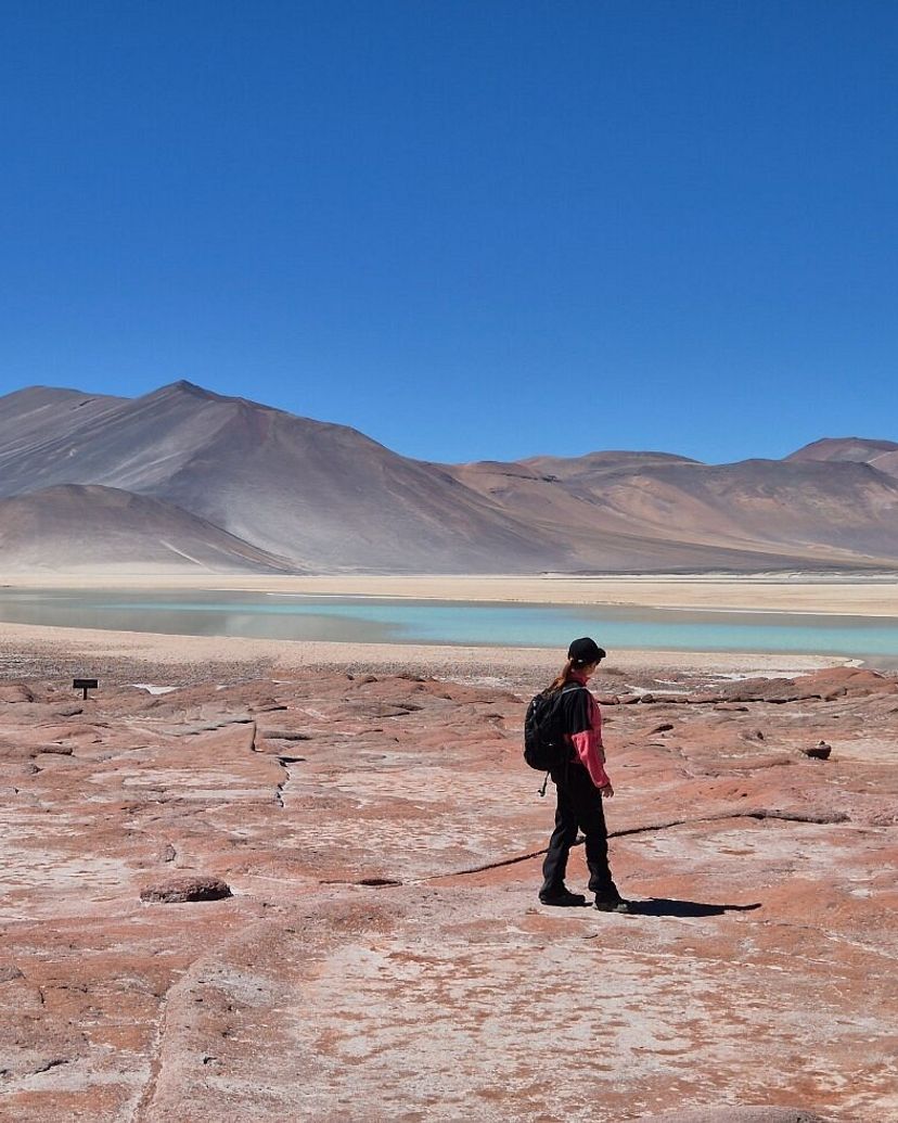 "ALTIPLANIC LAGOONS AND RED STONES + LUNCH" Tour, San Pedro de Atacama, Chile.
