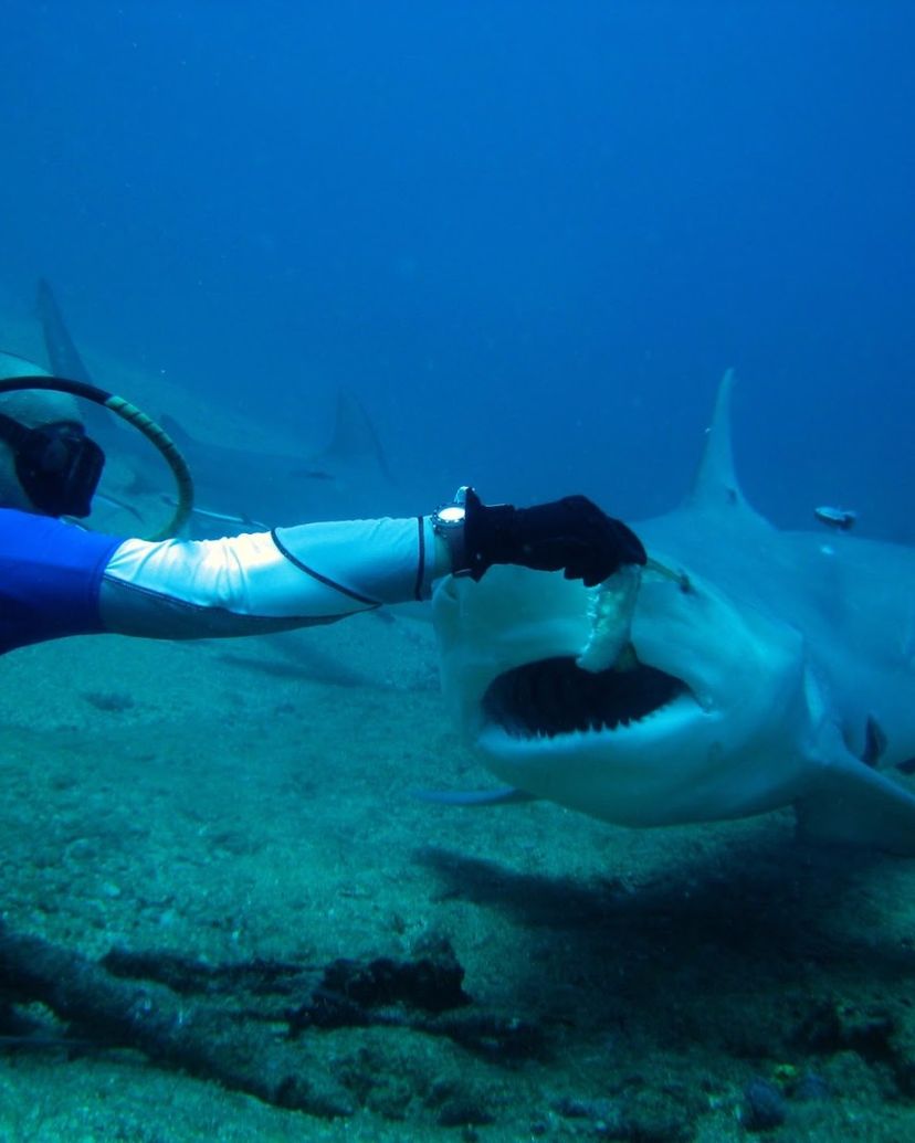 Scuba diving tour in Santa Lucía, Camagüey