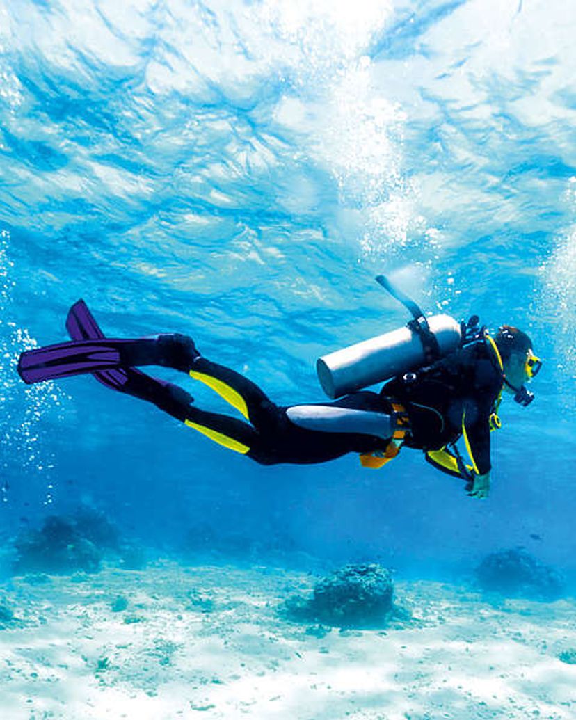 Scuba Diving in Havana