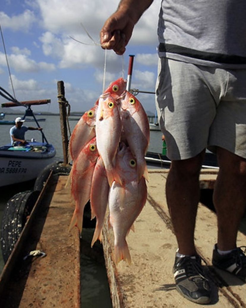 "FISHING IN GIBARA BAY" Tour, Gibara, Holguín, Cuba.