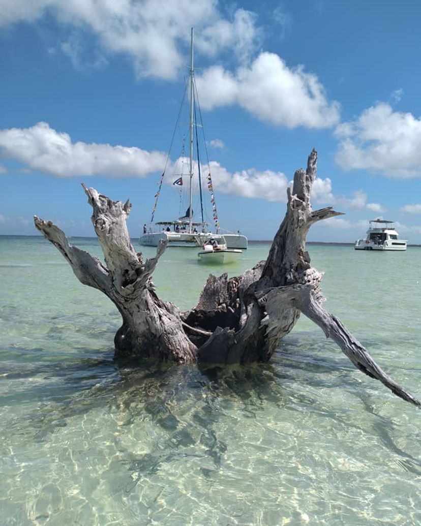 "SEAFARI CRUCERO DEL SOL" Tour, Cayo Santa María, Villa Clara, Cuba.